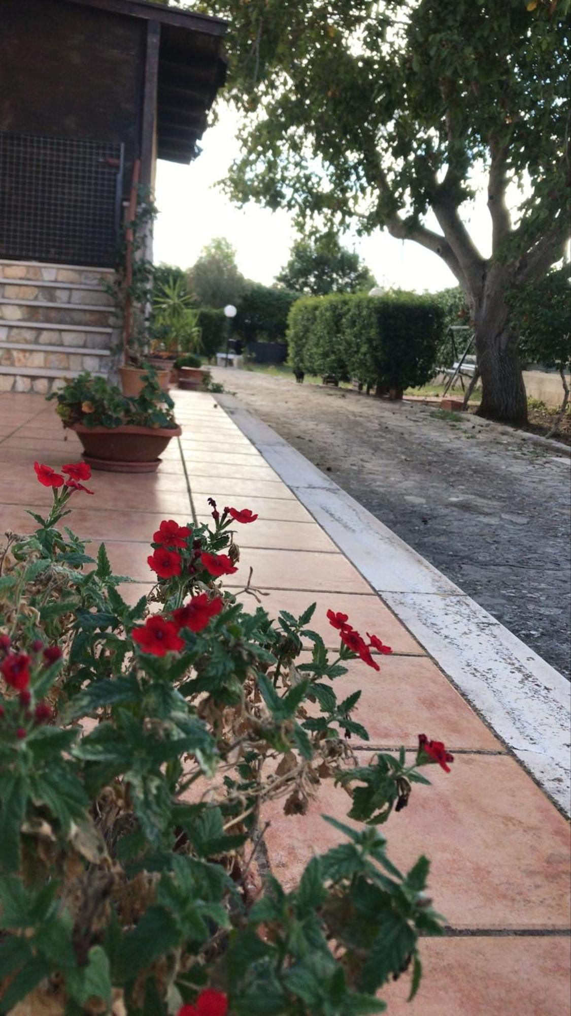 Villa Marida โจเยีย เดล คอลเล ภายนอก รูปภาพ
